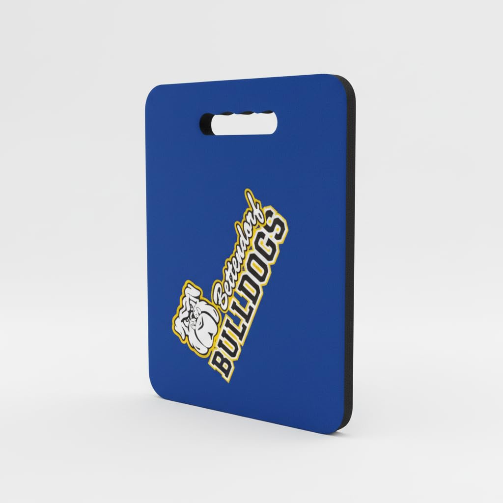 2-Pack Stadium Seat Cushions with Handle N929