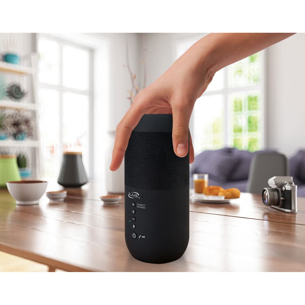 Black Waterproof Indoor and Outdoor Speakers, 2 Count F9329