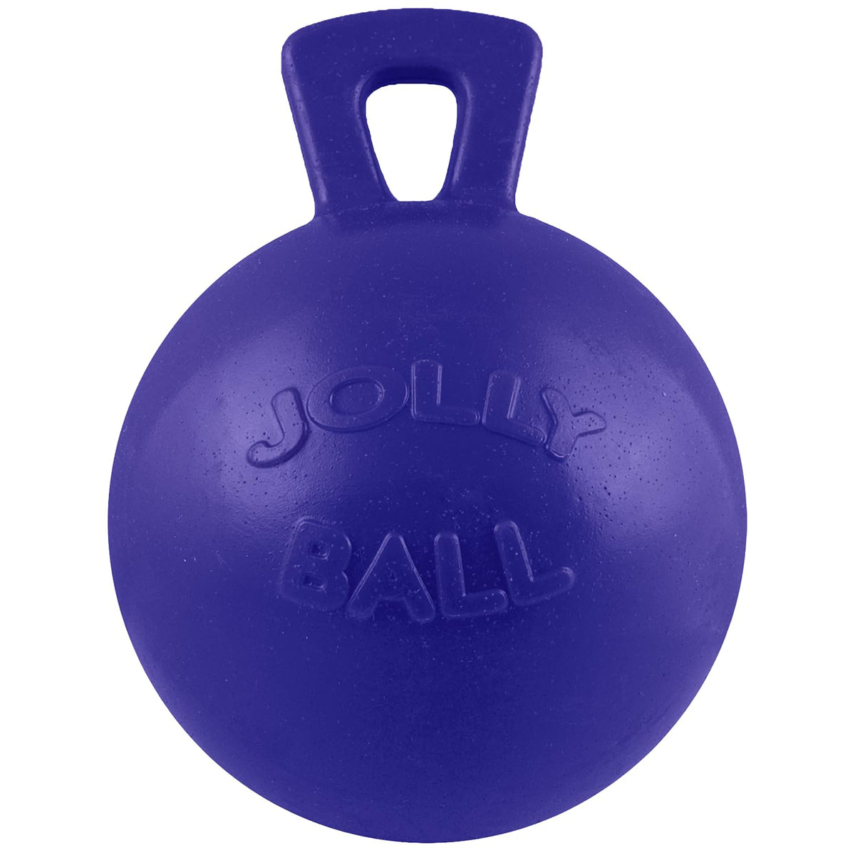Dog 10-Inch Tug-n-Toss, Blue D168231