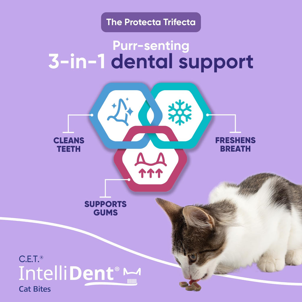 Cat Dental Care Y829