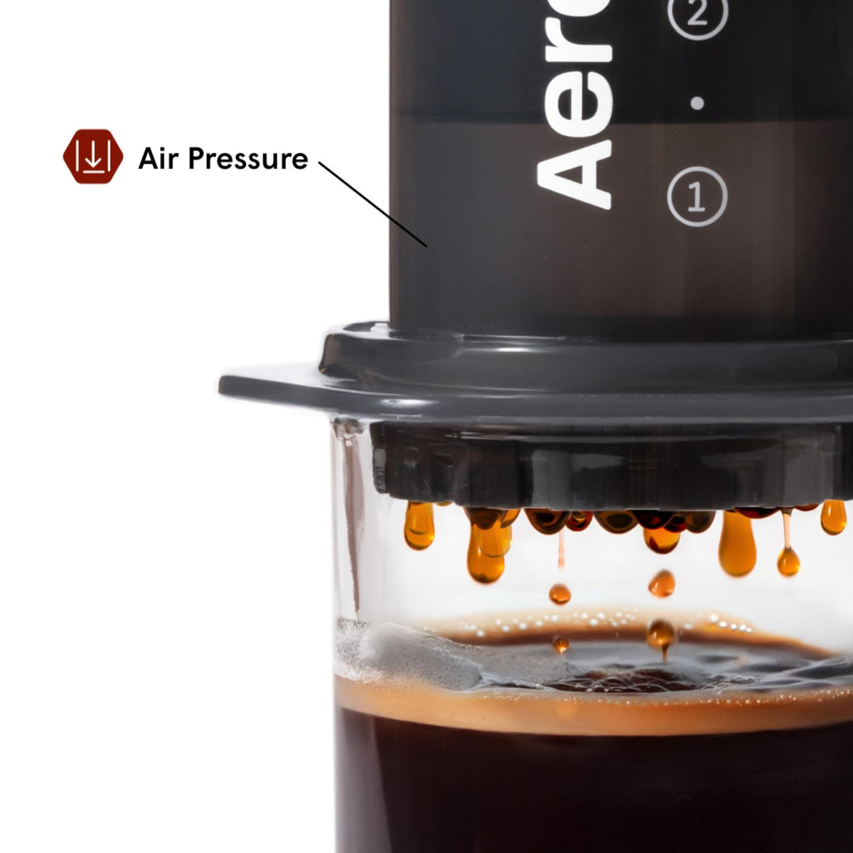 Coffee Press M78053