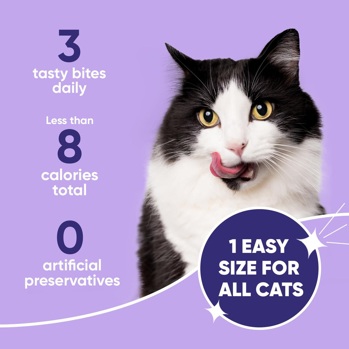 Cat Dental Care Y829