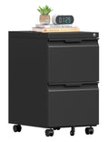 2 Drawer Mobile File Cabinet with Lock T76340