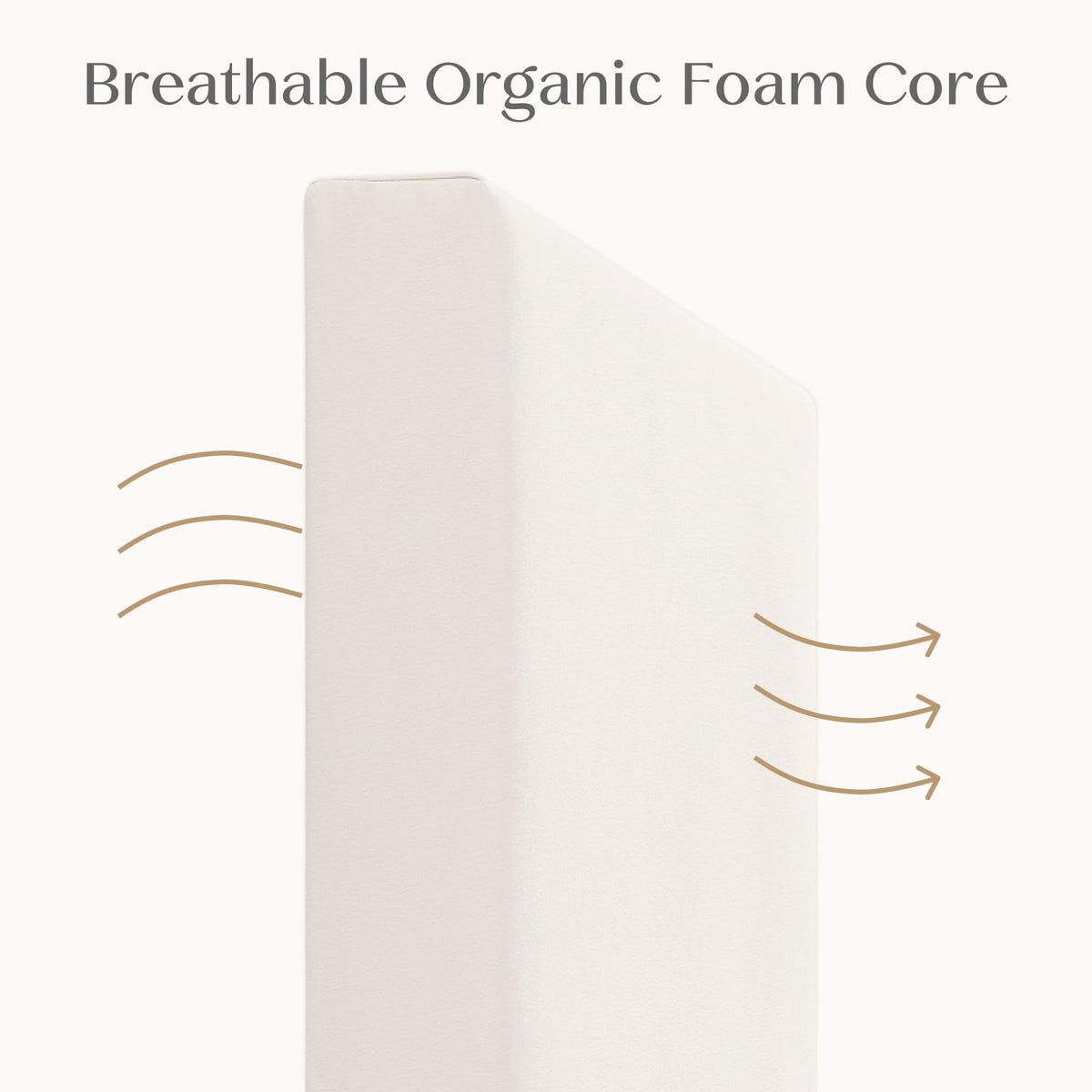 Organic Crib and Toddler Mattress J134395