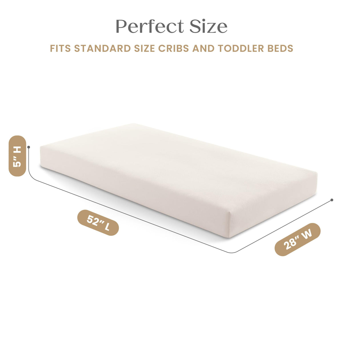 Organic Crib and Toddler Mattress J134395