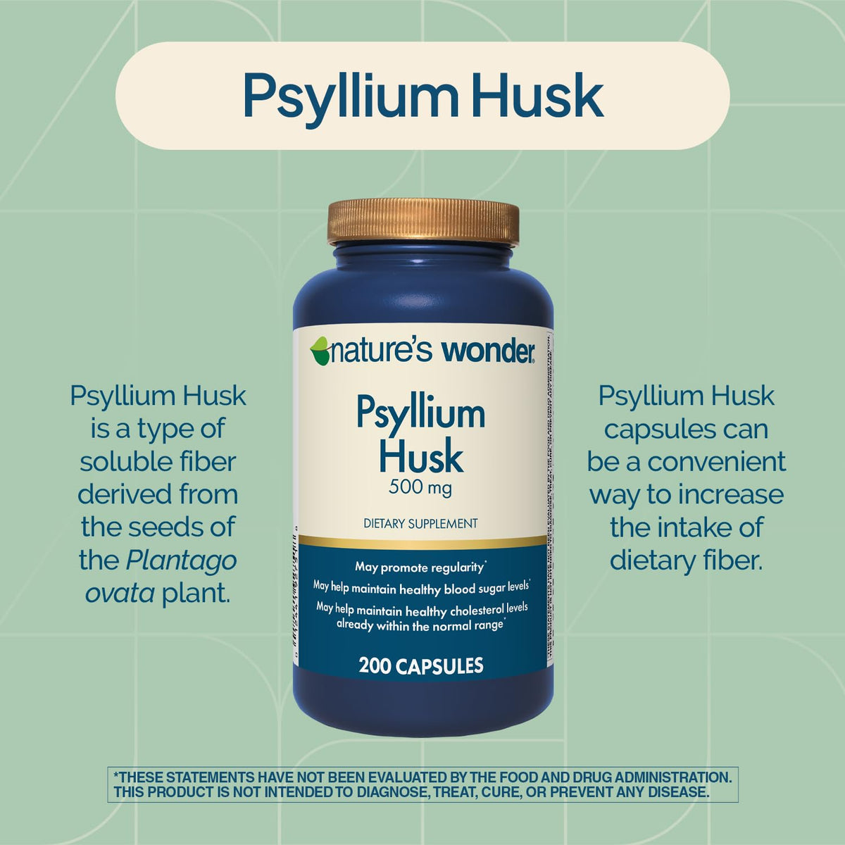 Psyllium Husk 500 mg Capsules 200 Count X852492