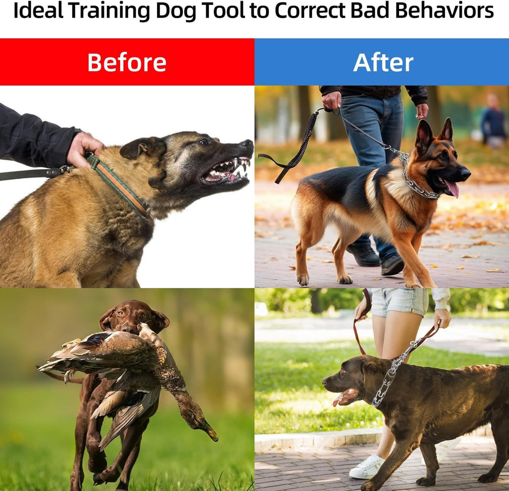 Stainless Steel Adjustable Dog Training Collar W232623