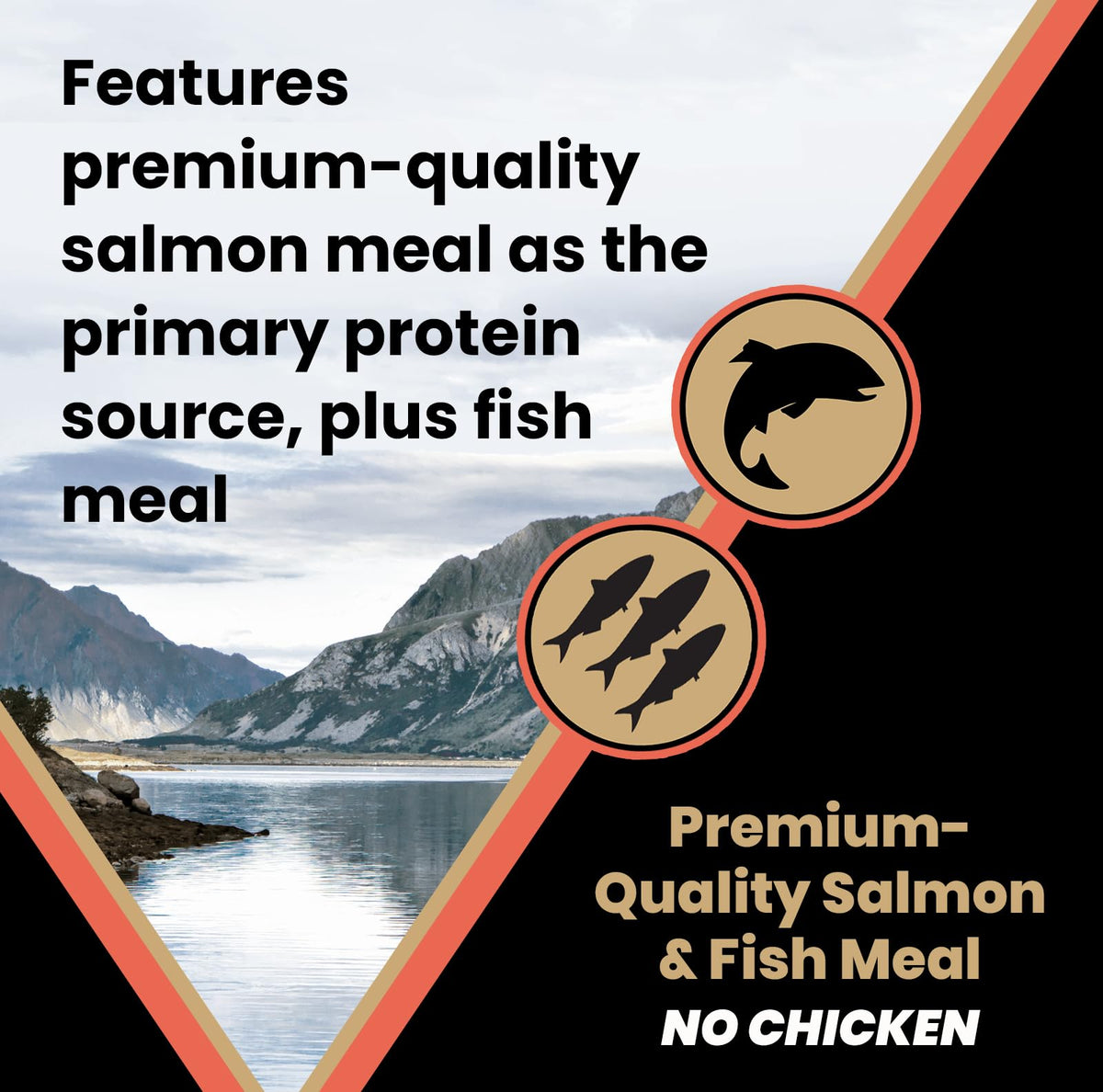 Salmon Meal & Brown Rice Dog Food, 30 lb V7146