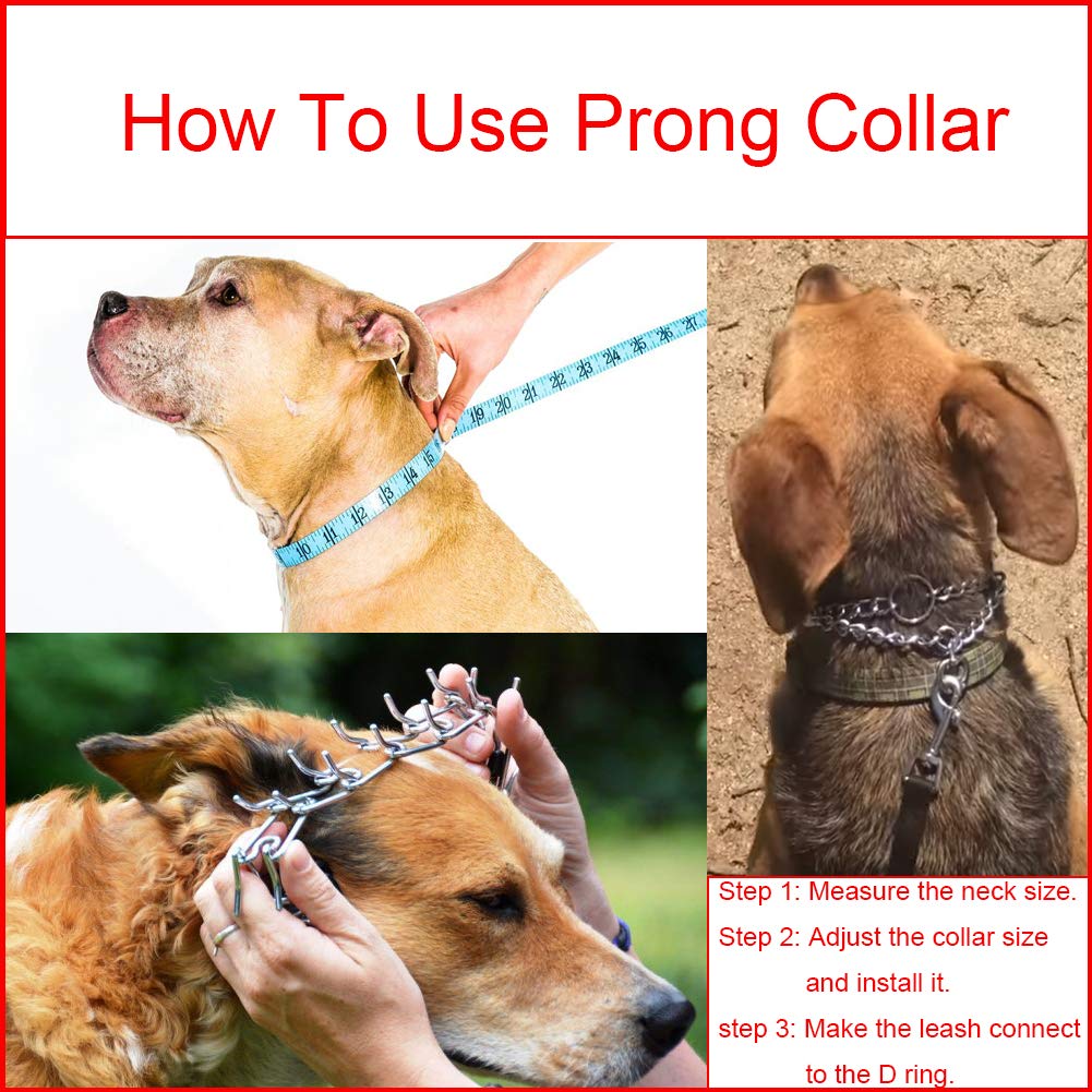 Stainless Steel Adjustable Dog Training Collar W232623