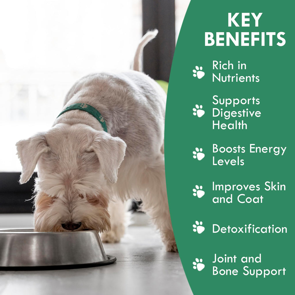 Plant-Based Dog Food Toppers Supplement Powder 50g B568736