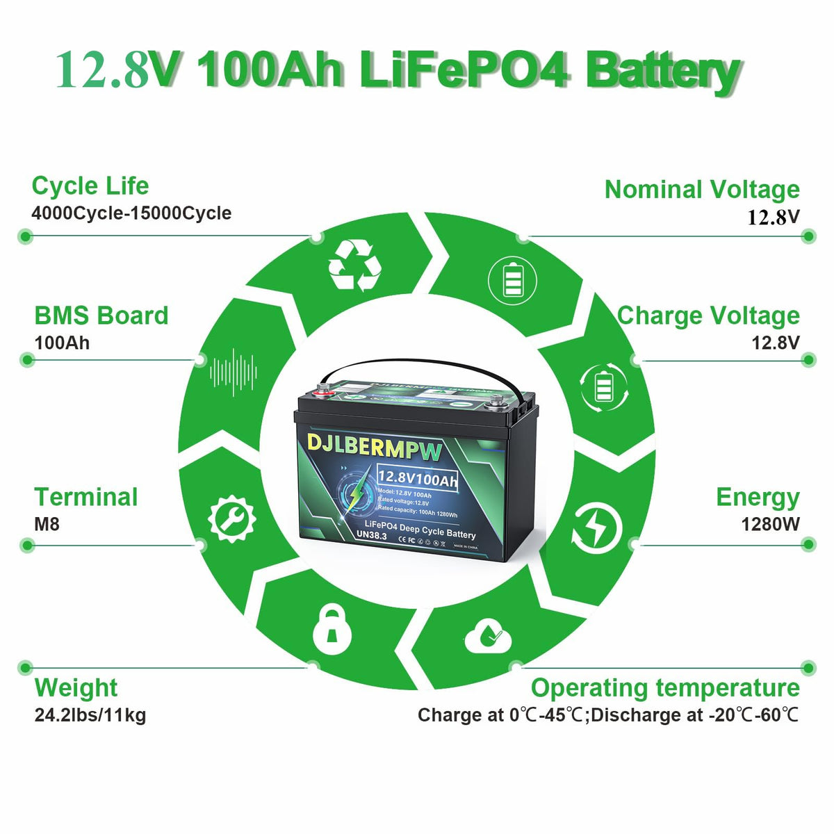 12V 100Ah LiFePO4 Lithium Battery Y410027