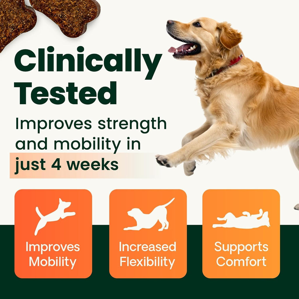 Chicken Hip & Joint Tablets for Dogs, 120 Count K23259
