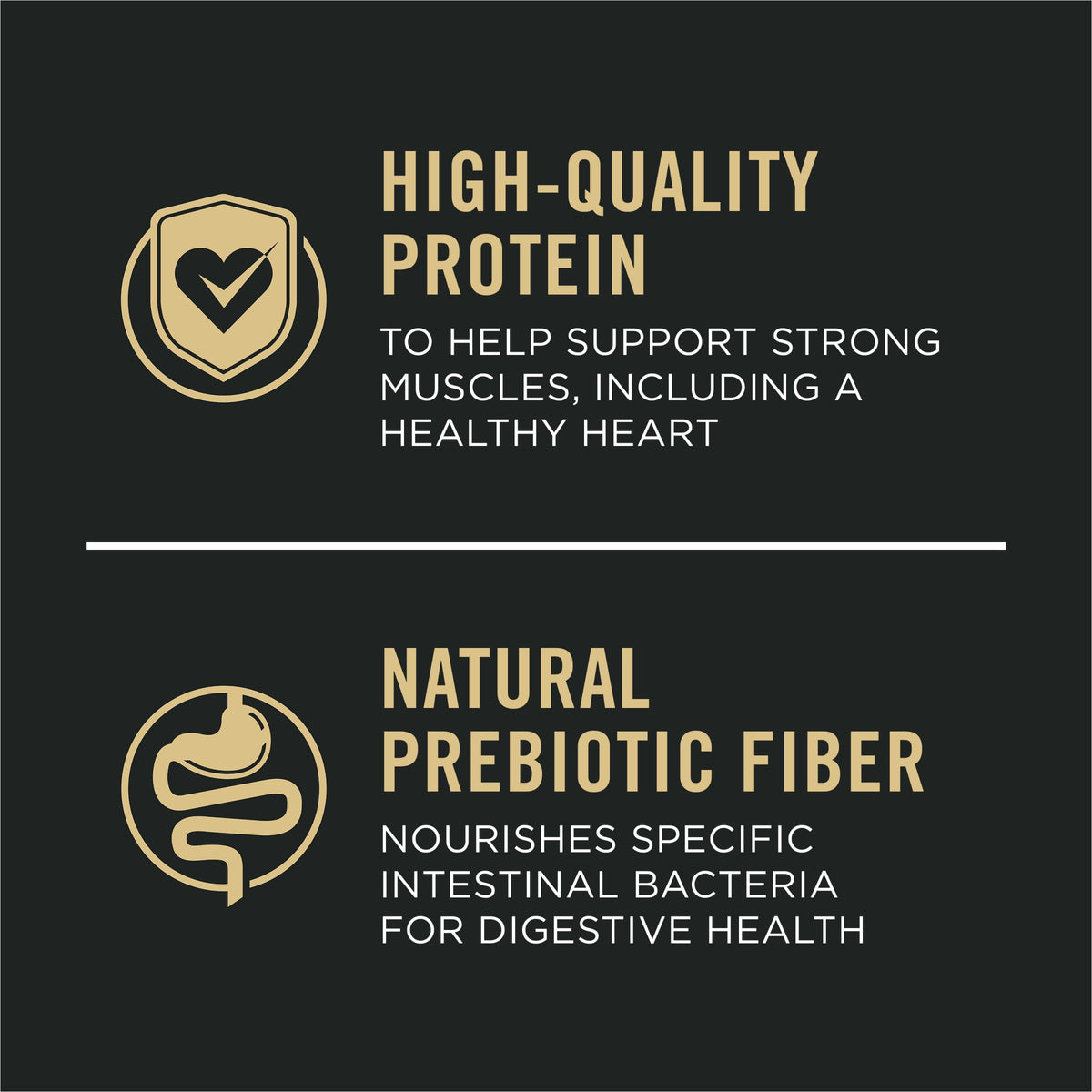 Lamb & Rice Dry Dog Food 5 lb Bag U83211