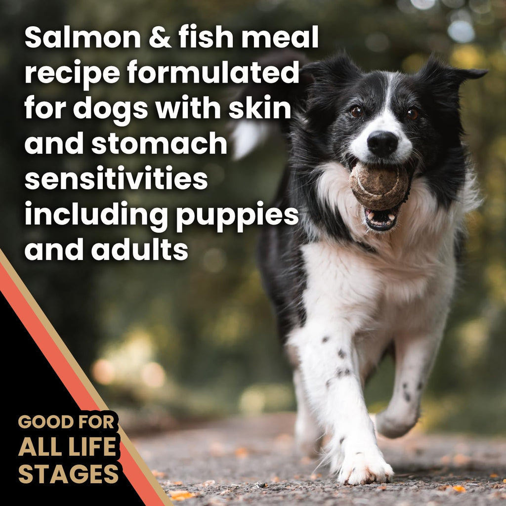 Salmon Meal & Brown Rice Dog Food, 30 lb V7146