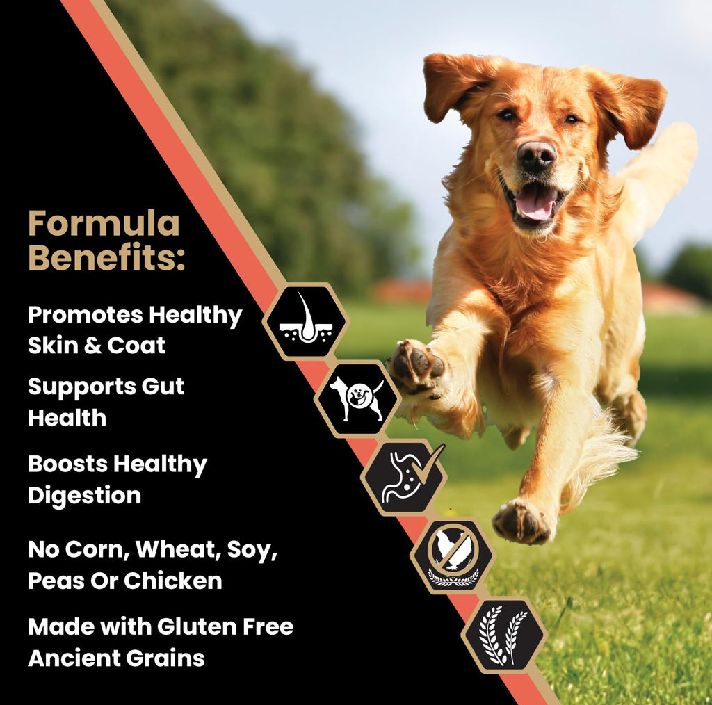 Salmon Meal & Brown Rice Dog Food, 30 lb V7146