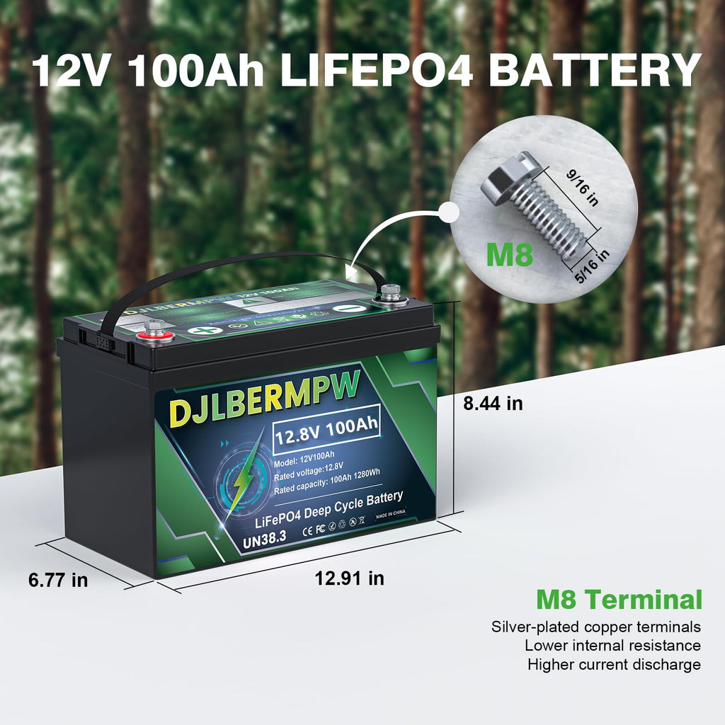 12V 100Ah LiFePO4 Lithium Battery Y410027