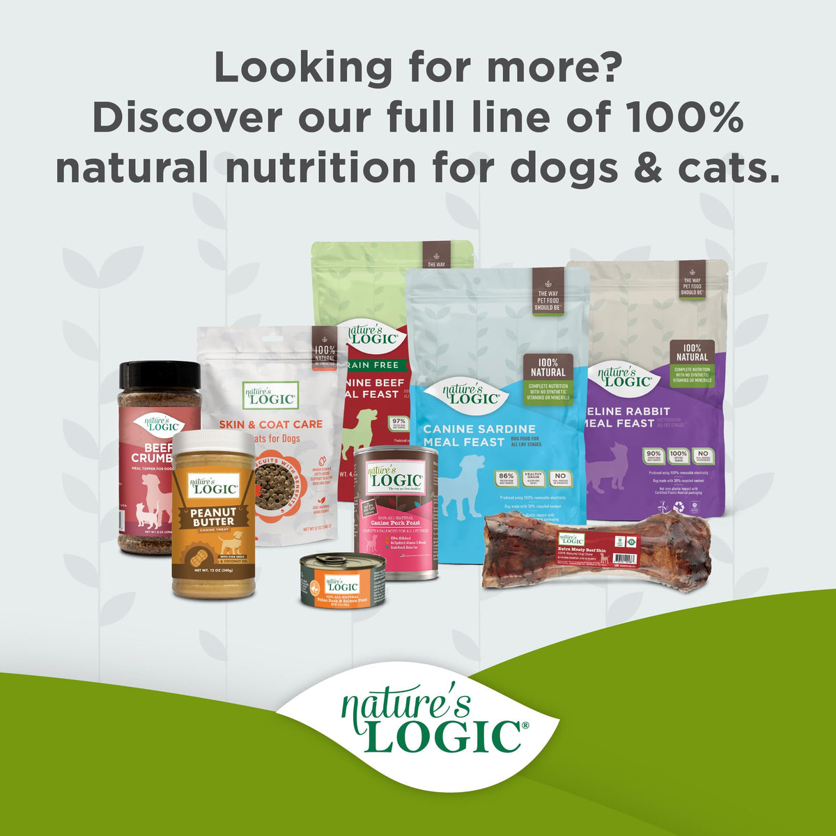 Dry Dog Food Chicken Meal Kibble 4.4 lb C12640