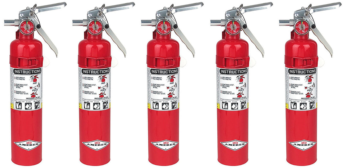 2.5lb ABC Dry Chemical Fire Extinguisher with Wall Bracket K402