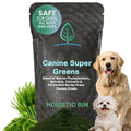 Plant-Based Dog Food Toppers Supplement Powder 50g B568736