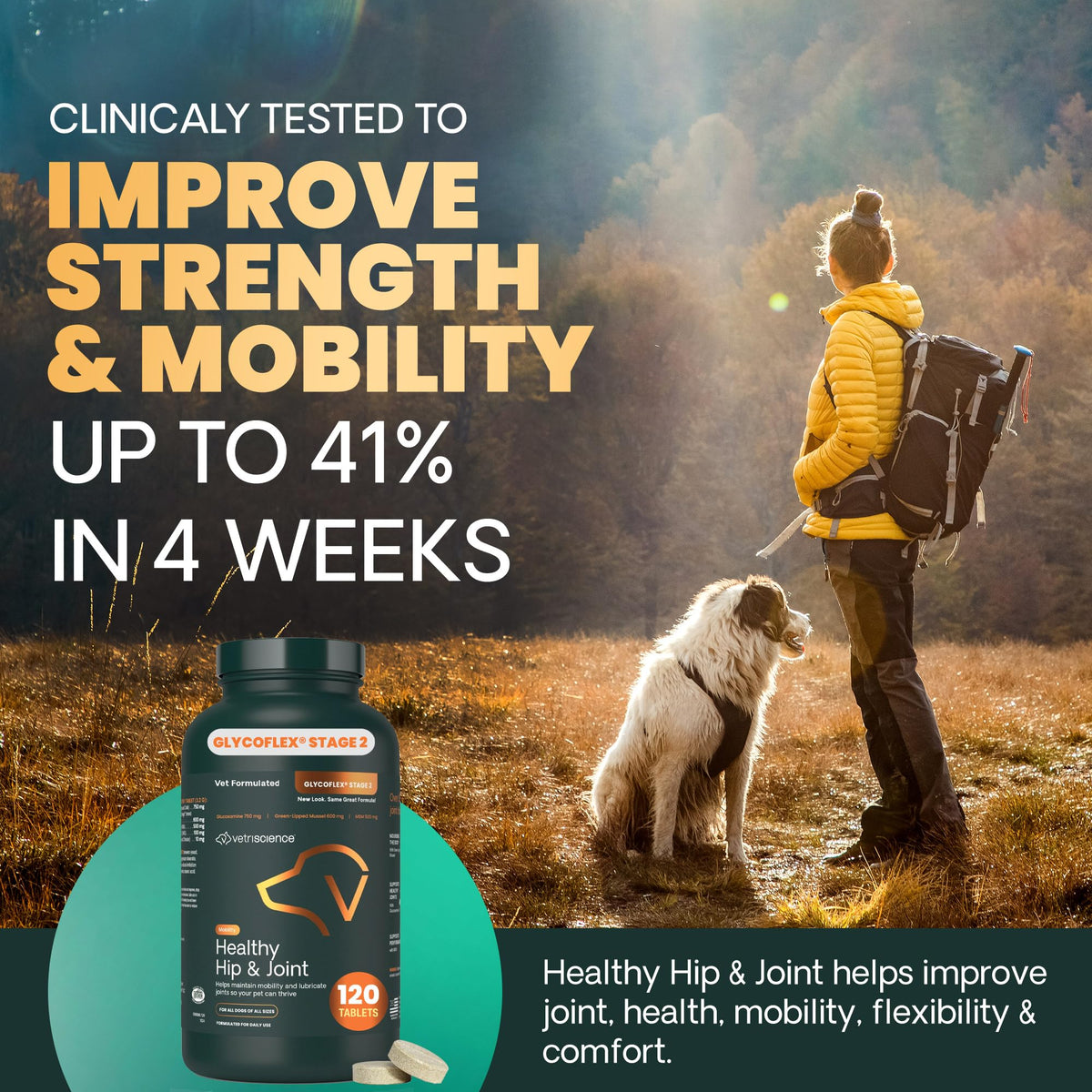 Chicken Hip & Joint Tablets for Dogs, 120 Count K23259