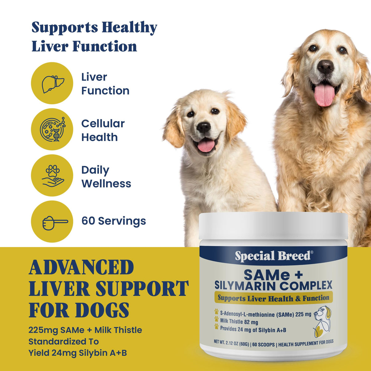 Milk Thistle Supplement Powder G68049