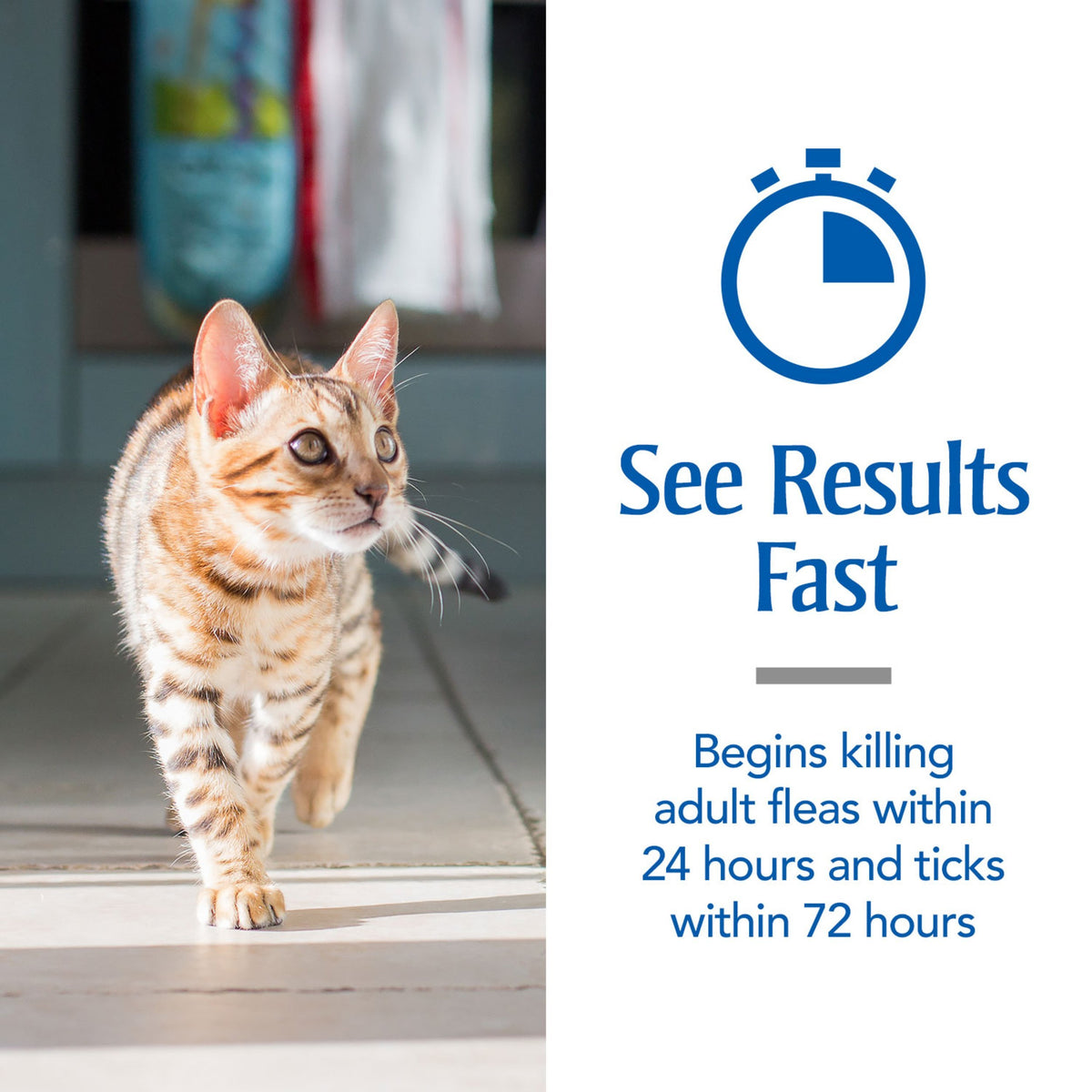 Flea & Tick Treatment for Cats A5521