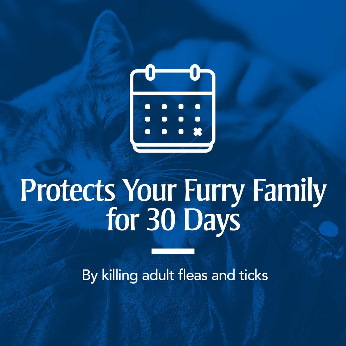 Flea & Tick Treatment for Cats A5521