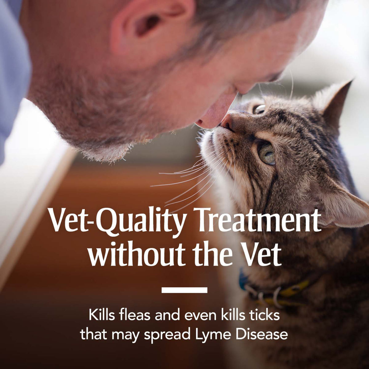 Flea & Tick Treatment for Cats A5521